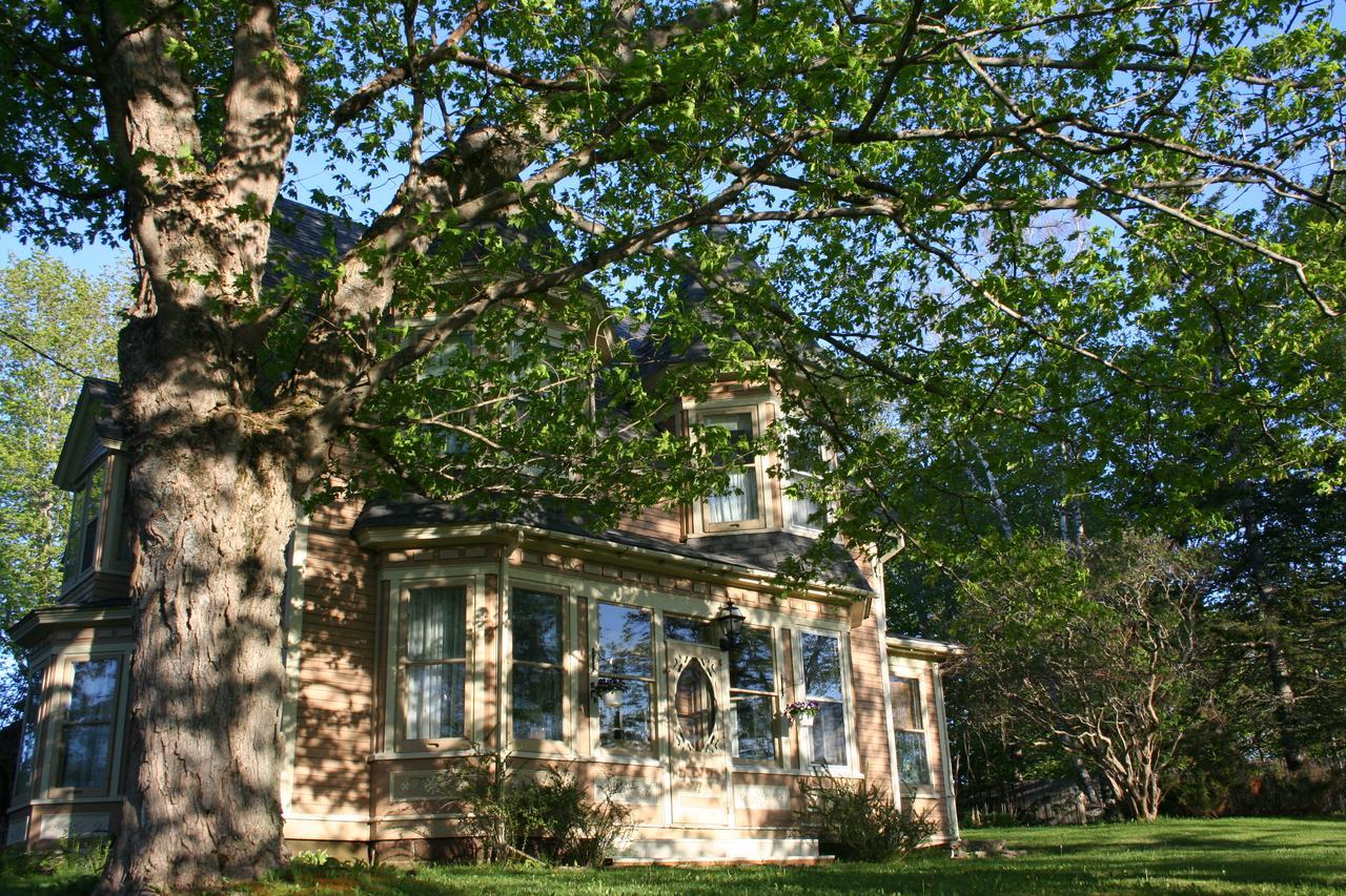 Sackville Bed And Breakfast Εξωτερικό φωτογραφία